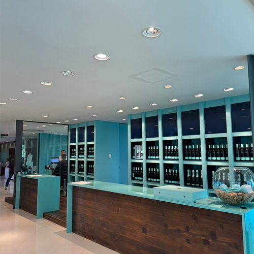 Os vinhos diferenciados da vinícola Vinhedos Capoani