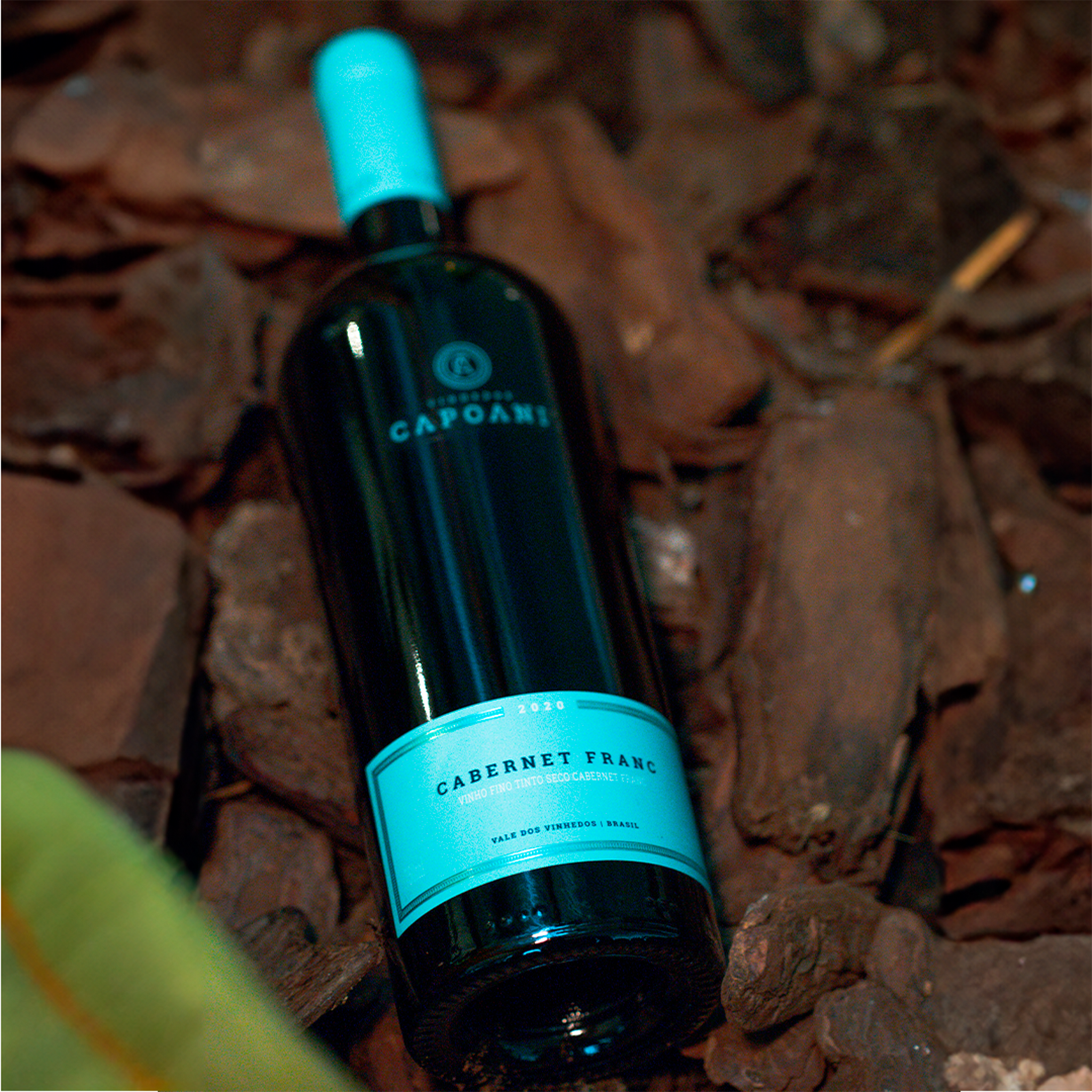 Vinho Tinto Capoani Cabernet Franc 2023