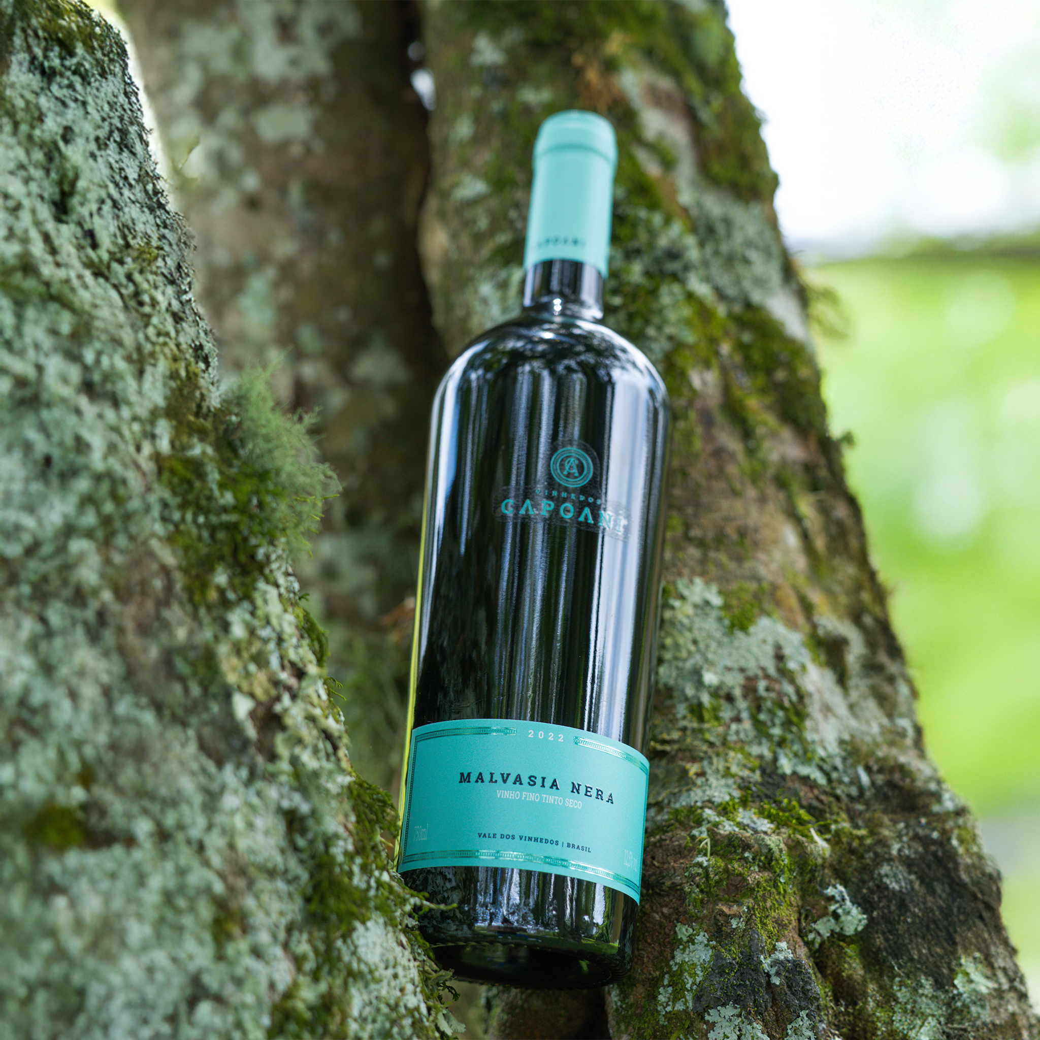 Vinho Seco Tinto Malvasia Nera 2022