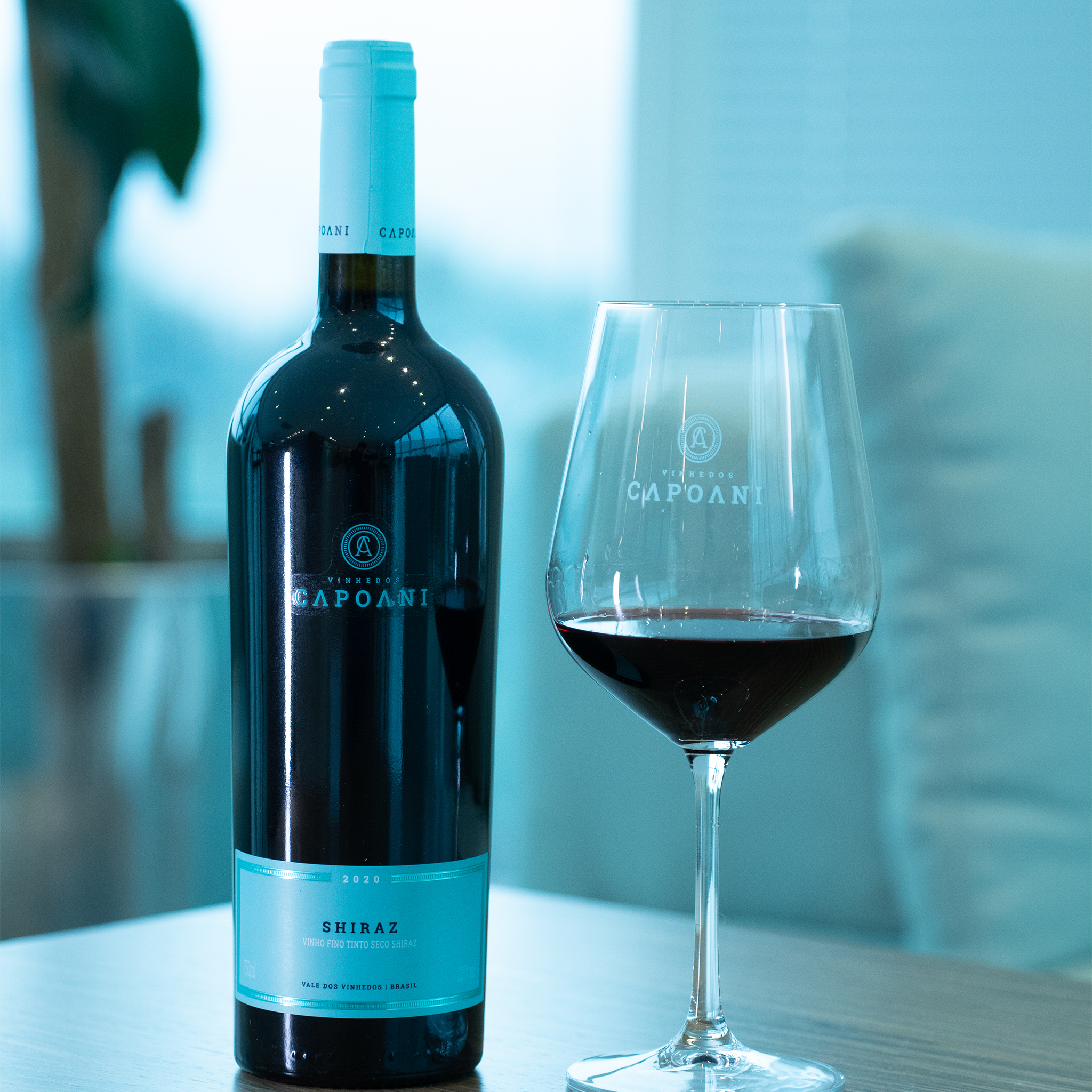 Vinho Tinto Capoani Shiraz 2020