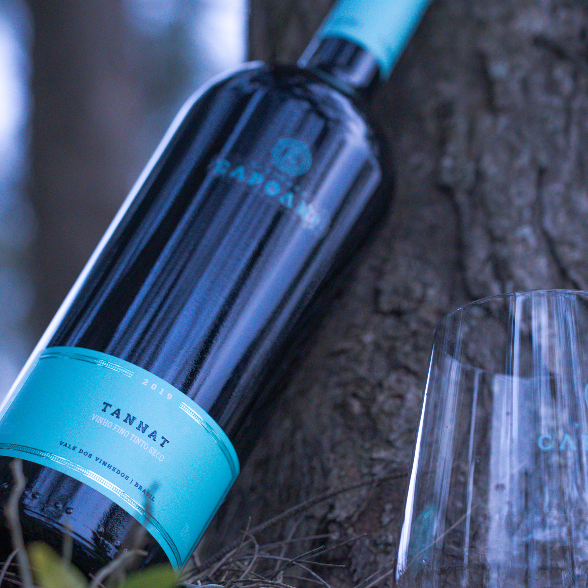 Vinho Tinto Capoani Tannat 2020